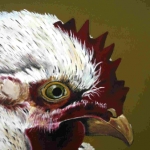 Chicken look Chicken look