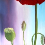 Poppy Poppy