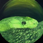 Green Mamba Green Mamba