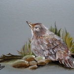 Birdie Birdie