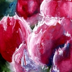 Winter tulips Winter tulips
