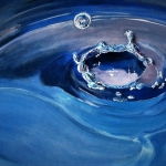 The drop The drop