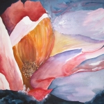 Magnolia Magnolia
