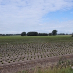 Fotografie landschap Fotografie landschap