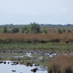 Fotografie Landschap Fotografie Landschap