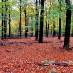 Fotografie Landschap Fotografie Landschap