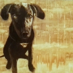 Straydog Straydog