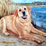 Labrador Labrador