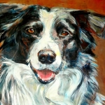 Border collie (2) Border collie (2)