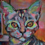kattenliefde kattenliefde
