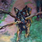 herdershond herdershond