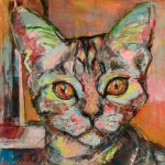 kattenliefde kattenliefde