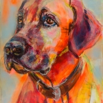 Hond, portret Rhodesian Ridgeback, hondenschilderij Hond, portret Rhodesian Ridgeback, hondenschilderij