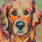 Hond, portret Golden Retriever, hondenschilderij Hond, portret Golden Retriever, hondenschilderij