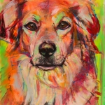Hond, portret Bernersennen Labrador mix, hondenschilderij Hond, portret Bernersennen Labrador mix, hondenschilderij