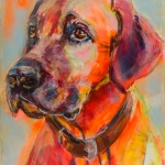 Hond, portret Rhodesian Ridgeback, hondenschilderij Hond, portret Rhodesian Ridgeback, hondenschilderij