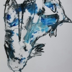 Blauwe kip Blauwe kip