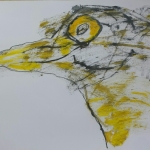 Roofvogel Roofvogel