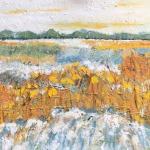 Landschap Landschap