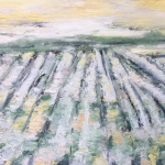 The Fields The Fields