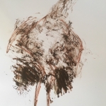 bruine vogel bruine vogel