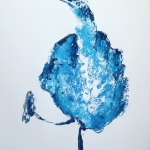 happy bird happy bird