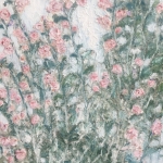 Rozes Rozes