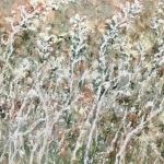 Wild flowers Wild flowers
