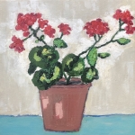 Geranium in een pot Geranium in een pot