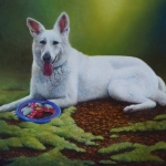 Rindy, een Zwitserse witte Herder Rindy, een Zwitserse witte Herder