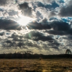 Natuurgebied Maashorst Natuurgebied Maashorst