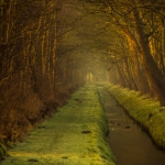 Noordwijkerhout Noordwijkerhout