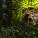 Limburg Limburg