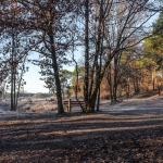 Natuurgebied Maashorst Natuurgebied Maashorst