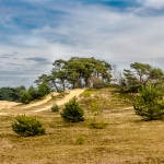 Gelderland Veluwe Gelderland Veluwe