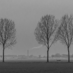 Brabant polders Brabant polders