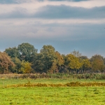Natuurgebied Maashorst Natuurgebied Maashorst