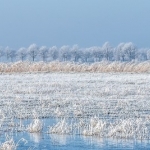 Moerputten Den Bosch Moerputten Den Bosch