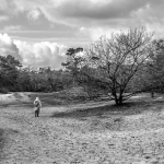 Loonse & Drunese duinen Loonse & Drunese duinen