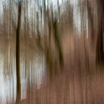 Experimenteel ICM Experimenteel ICM