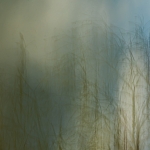 Experimenteel ICM Experimenteel ICM