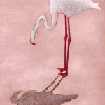 Pretty Flamingo Pretty Flamingo