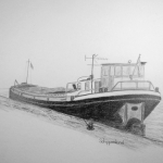 m.s.Flipper m.s.Flipper
