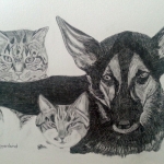 Bram , Loes en Dieneke. Bram , Loes en Dieneke.