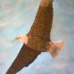 Eagle Eagle