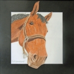 Paard Paard