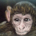 Little Monkey Little Monkey
