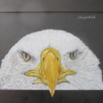 Adelaarskop Adelaarskop