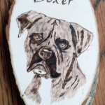 Boxer Boxer