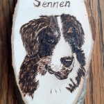 Berner sennen Berner sennen